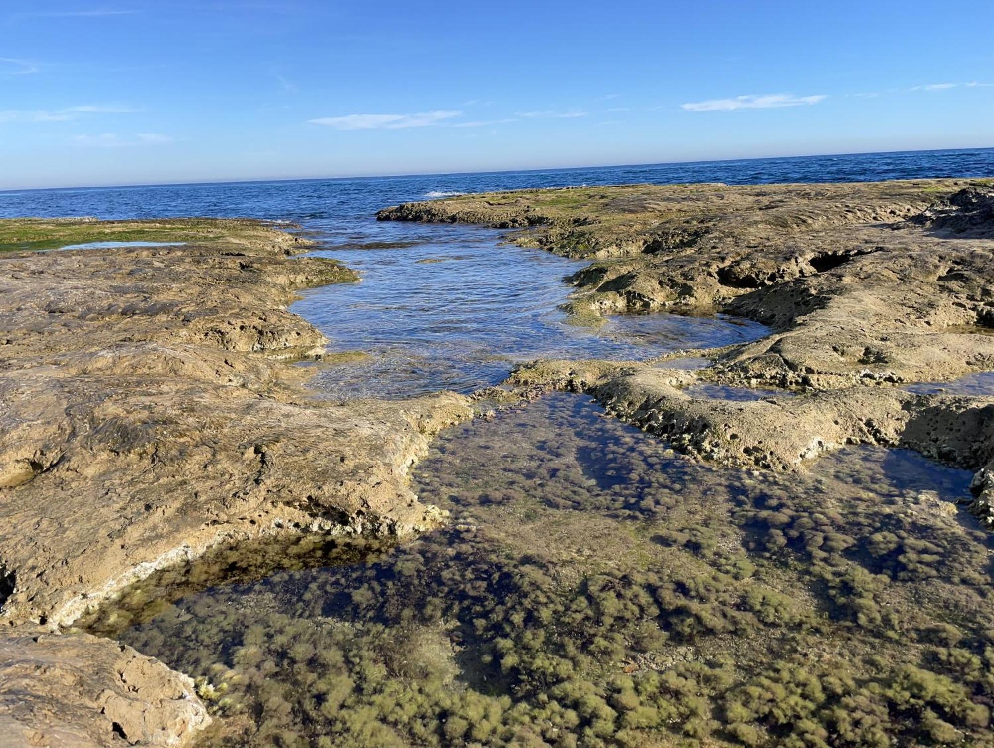 Villa Suerte Del Mar Torrevieja Eksteriør billede
